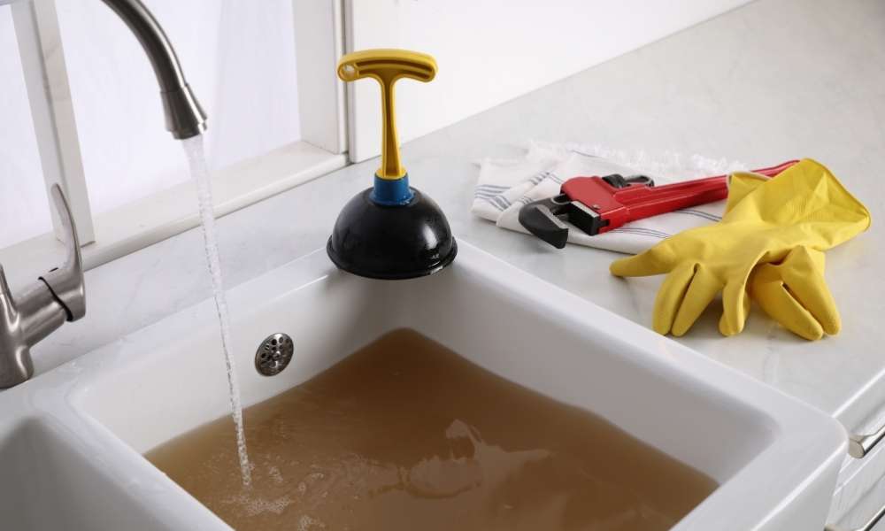 Ways To Unclog Your Double Sink With Standing Water