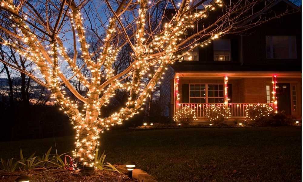 How To Put Christmas Lights On A Large Outdoor Tree