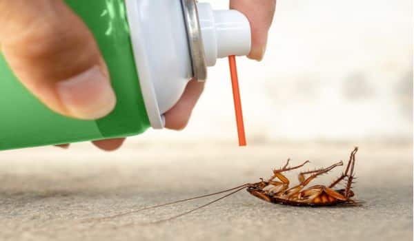 Cockroach killing spray for cockroach prevention