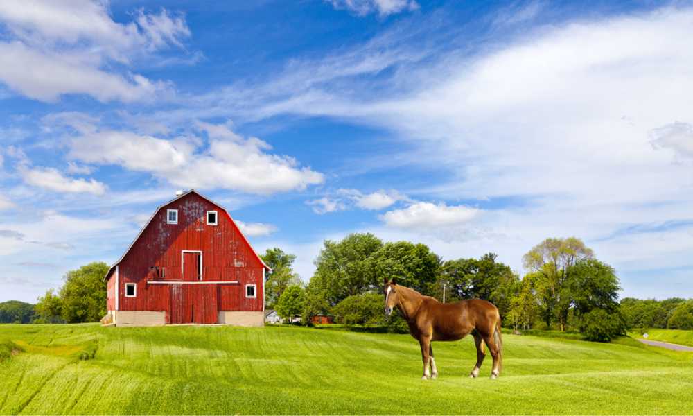 Key Things to Consider When Searching for Scottsdale Horse Properties