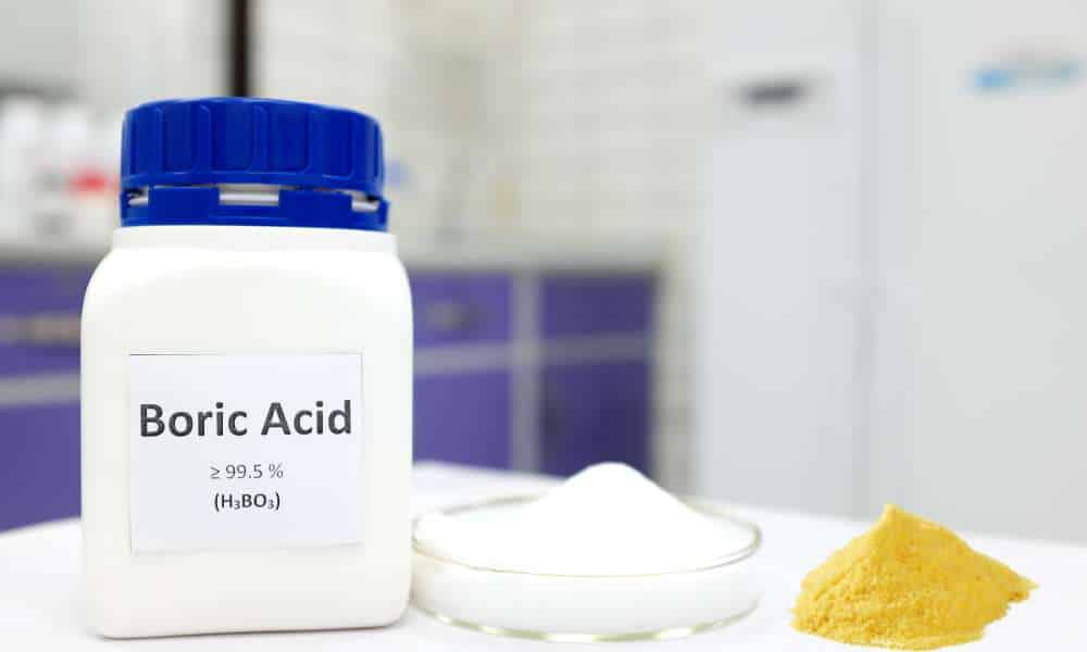 Cornmeal & Boric Acid To Get Rid Of Ants In The Kitchen