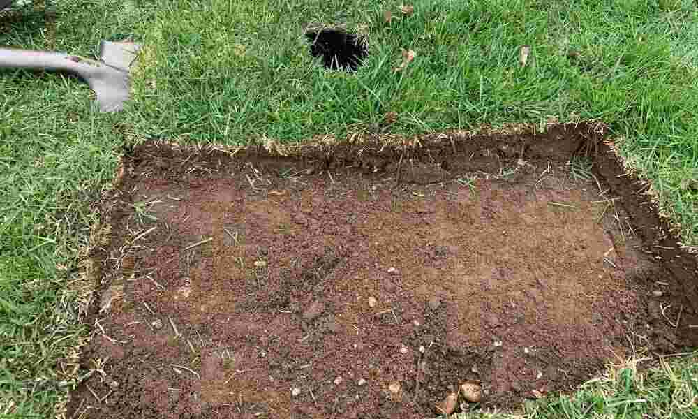 Create The Perimeter To Build An Outdoor Dog Potty Area On Concrete