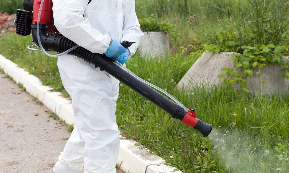 Mastering Mosquito Control: How Can Professionals Help