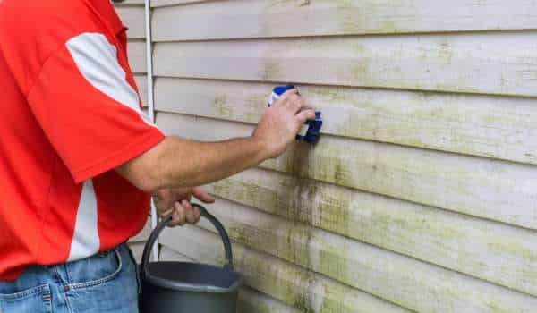 how to get algae off decking