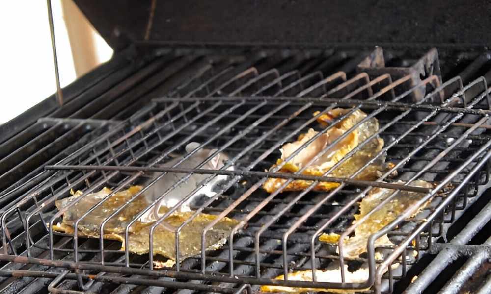 How To Keep Mice Out Of Outdoor Grill