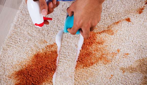 Spot Cleaning for Minor Stains