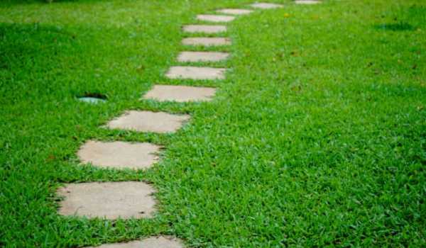 Maintenance and Care Tips To Make Walkway With Stepping Stones