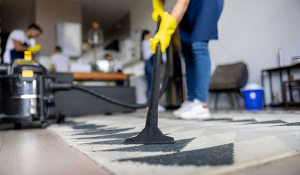 Professional cleaning services for mold removal on outdoor carpet using advanced equipment.